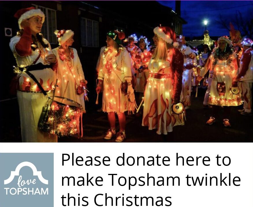 Link to donate to Topsham Twinkle