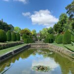 mapperton gardens lily pond