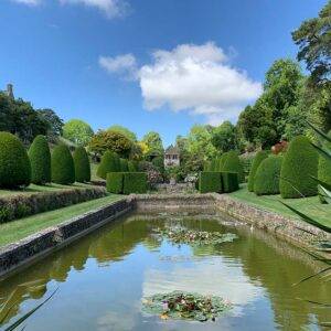 mapperton gardens lily pond