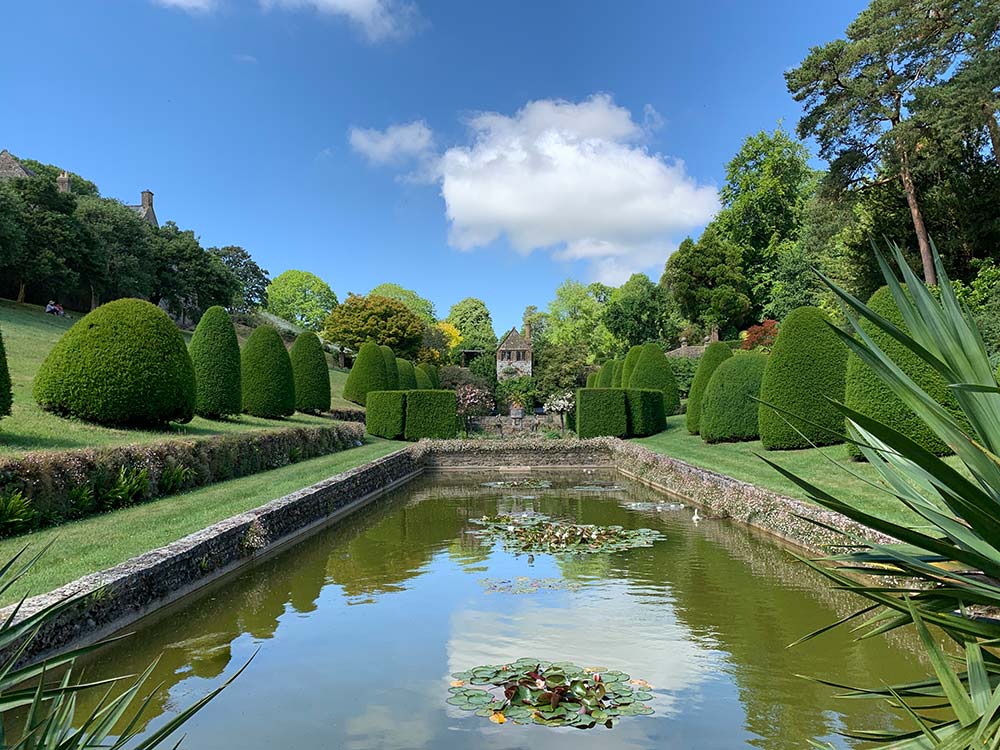 mapperton gardens lily pond